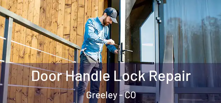 Door Handle Lock Repair Greeley - CO