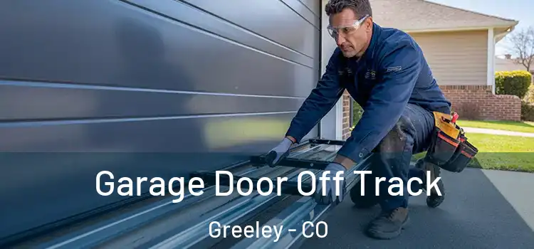  Garage Door Off Track Greeley - CO