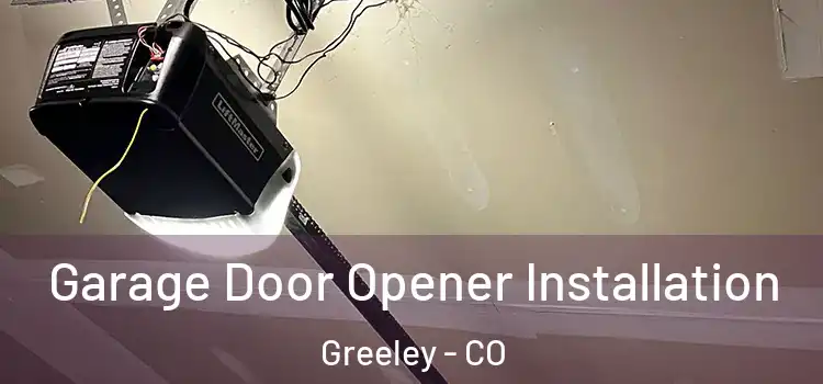  Garage Door Opener Installation Greeley - CO