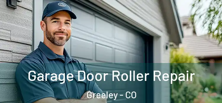  Garage Door Roller Repair Greeley - CO