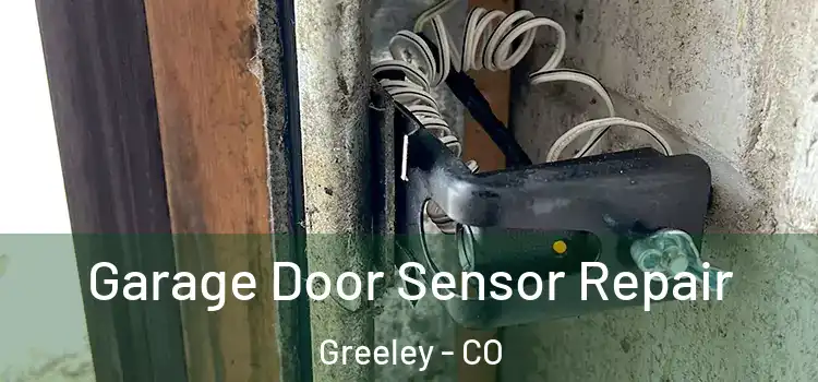 Garage Door Sensor Repair Greeley - CO
