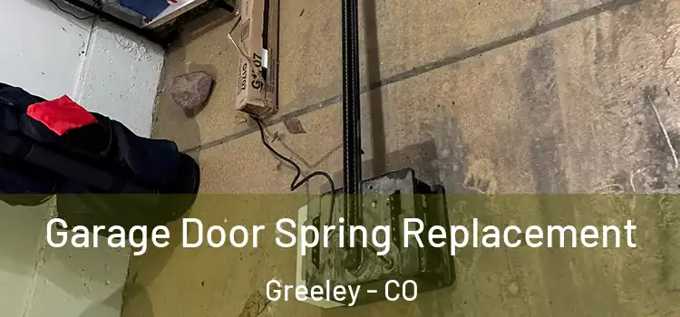  Garage Door Spring Replacement Greeley - CO