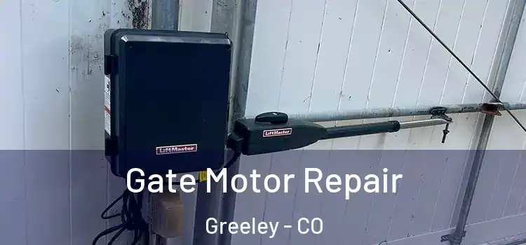  Gate Motor Repair Greeley - CO