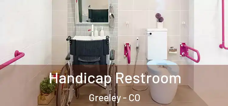 Handicap Restroom Greeley - CO