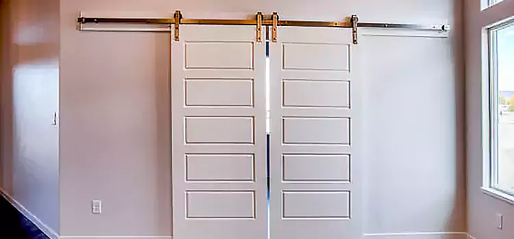 Glass Barn Door with Installation Hardware Kit Greeley