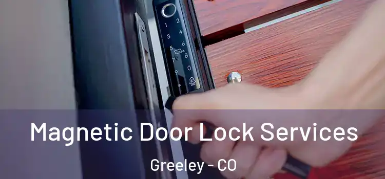  Magnetic Door Lock Services Greeley - CO
