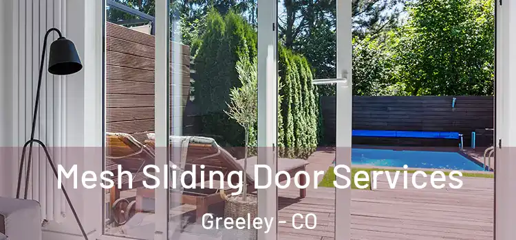 Mesh Sliding Door Services Greeley - CO