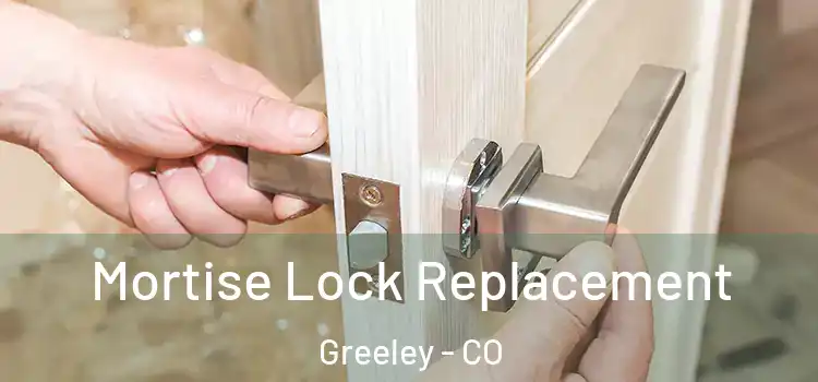 Mortise Lock Replacement Greeley - CO