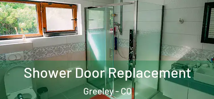 Shower Door Replacement Greeley - CO