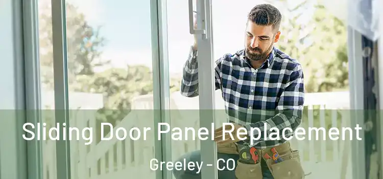  Sliding Door Panel Replacement Greeley - CO