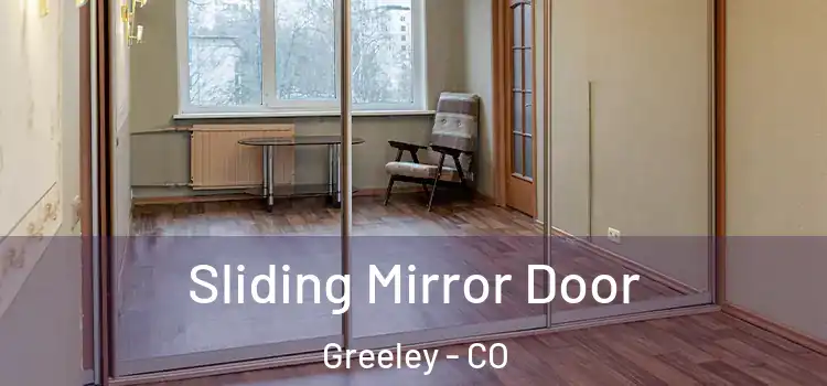  Sliding Mirror Door Greeley - CO